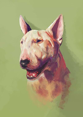 Render the bull terrier