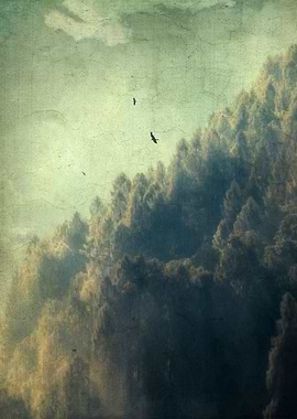 Hazy sunrise in the italian alps - texturized photograp ...