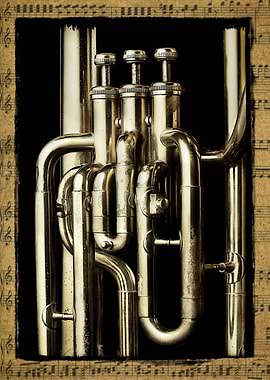 Tuba Valves
