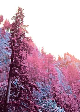 Oregon in Infrared