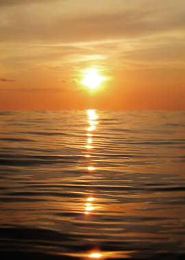 Sun setting over calm waters