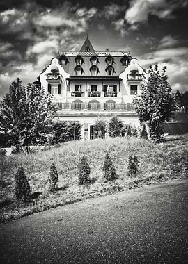 Queen of the Wood Hotel