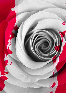 Desaturated Desaturated is a mixed media piece of art b ...