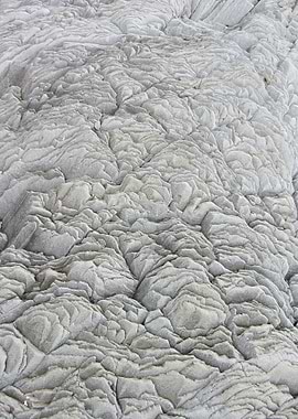 Lava Bloom - This was taken on the Black Beach in Vik, ...