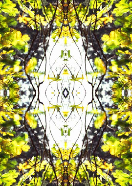 Leaves Blowing. Blurring in the wind during a one secon ...