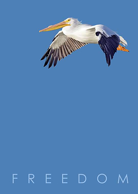 Pelican - Blue Series (Freedom)