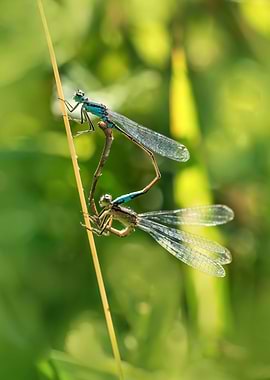 Please, do not disturb us!