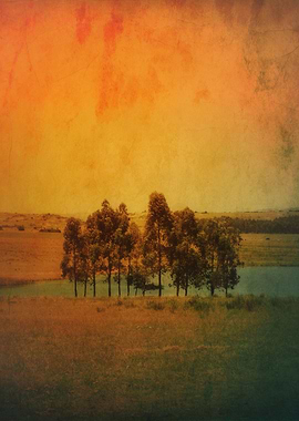 Handpainted photo from a landscape taken in Uruguay