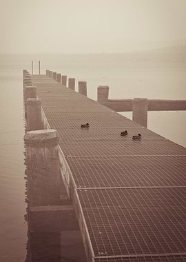 double exposure photography