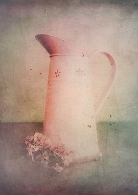 Vintage Color Still Life