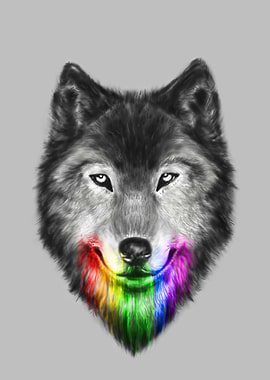 The Obsession of Chroma