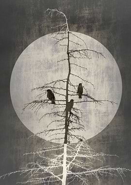 Three birds and the moon