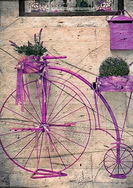 Lavender Bicycle