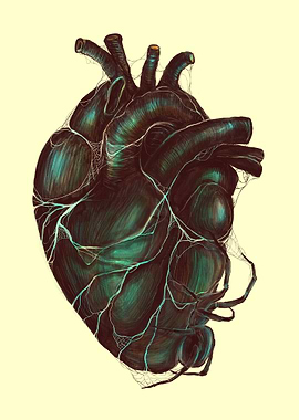 Rotten Heart