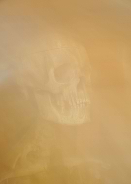 Human skull in soft smoke.