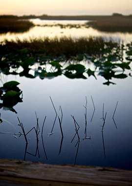 Sunset in the Everglades - Filmmaking Workshop BTS
