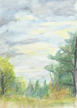 Pine forest. The island on the Volga River. Travel sket ...