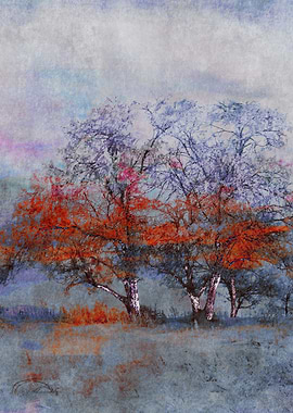 The Beauty of Change