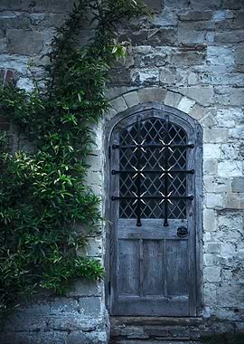 Castle Door