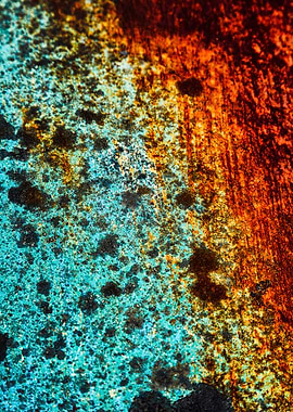 Rust on a classic automobile hood