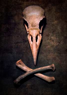 Goodbye my little friend