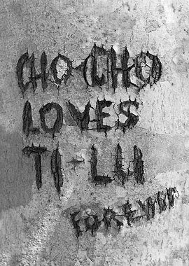 Tree Graffiti I discovered in Cape Cod finished in blac ...