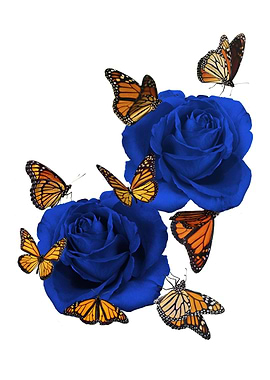 roses and butterflies