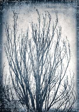 Nostalgia for a tree