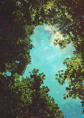 Starry Sky