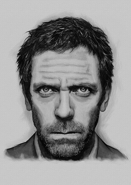 'Everybody Lies' - Inspired by House MD - one of TV's m ...