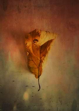 Color photograph Lonely Autumn Leaf