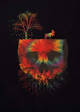 skull on my imagination