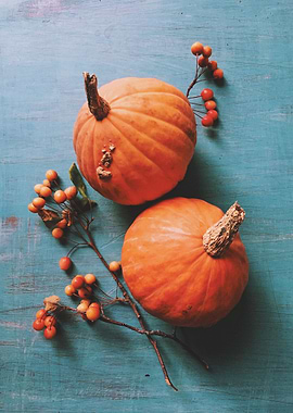 Rustic Autumn pumpkins with crabapples on a blue vintag ...
