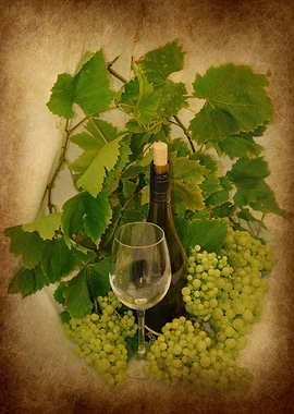 still life image of lots of bunches of grapes and wine ...