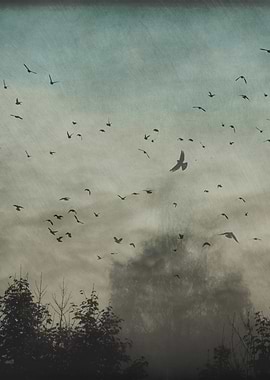 Flock of birds over a misty landscape - textured and ma ...