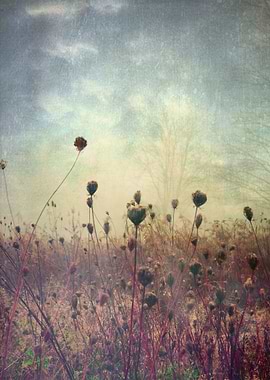 Her Mind Wandered in Beautiful Worlds