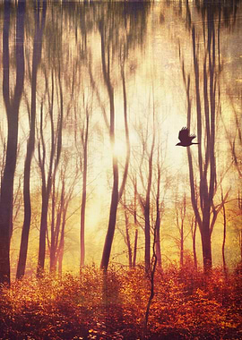 Sunrise on a hazy fall morning - abstract forest scener ...
