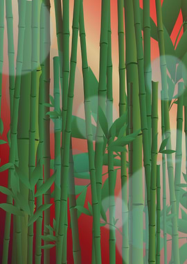 Bamboo night forest