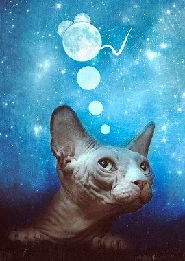 Night dreamer