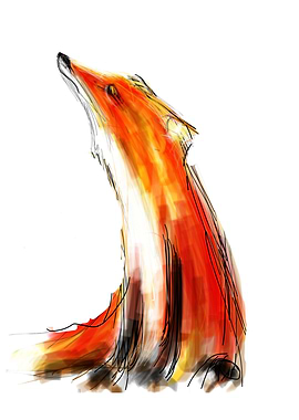 Wise Fox I recently turned 40, so it was time to add a ...