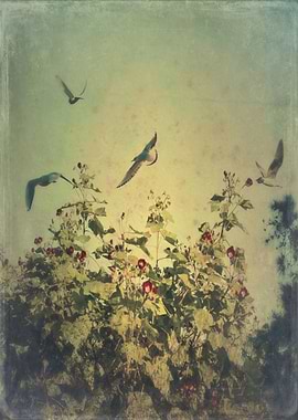 Color photograph 'Freedom'