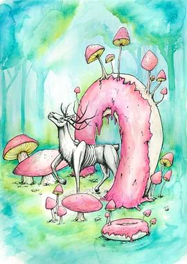 'Doughnut Wonderland'