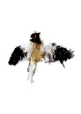 Roadkill, a Mockingbird. Sort of inspired by Harper Lee ...