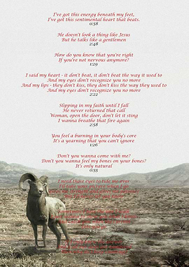 Selected lyrics from the second album of The Killers, S ...