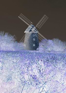 'Windmill In a Purple Haze' I have digitally colour enh ...