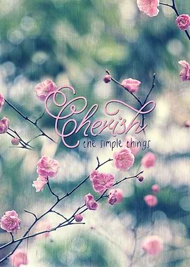 Cherish the Simple Things Pink Plum Blossoms - Beautifu ...