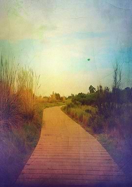 'Pave the way' Color photograph taken in Barcelona's be ...