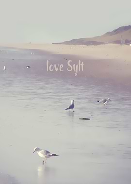 'LOVE SYLT I'. PHOTOGRAPHY, BEACH; NORTHSEA; SYLT; SEA ...