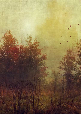 Fall RustMisty landscape in fall