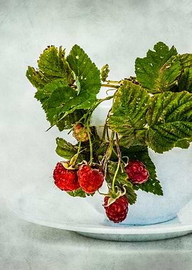 Raspberries In A White Cup